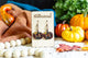 Floral Pumpkin Earrings - Black