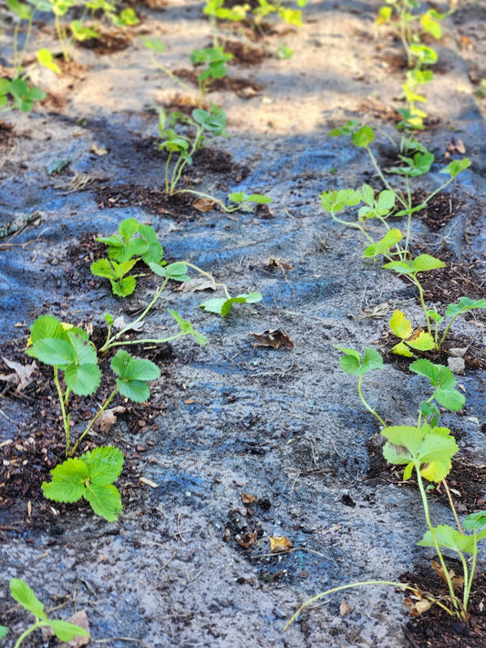 A Season of Change and Small Steps Forward